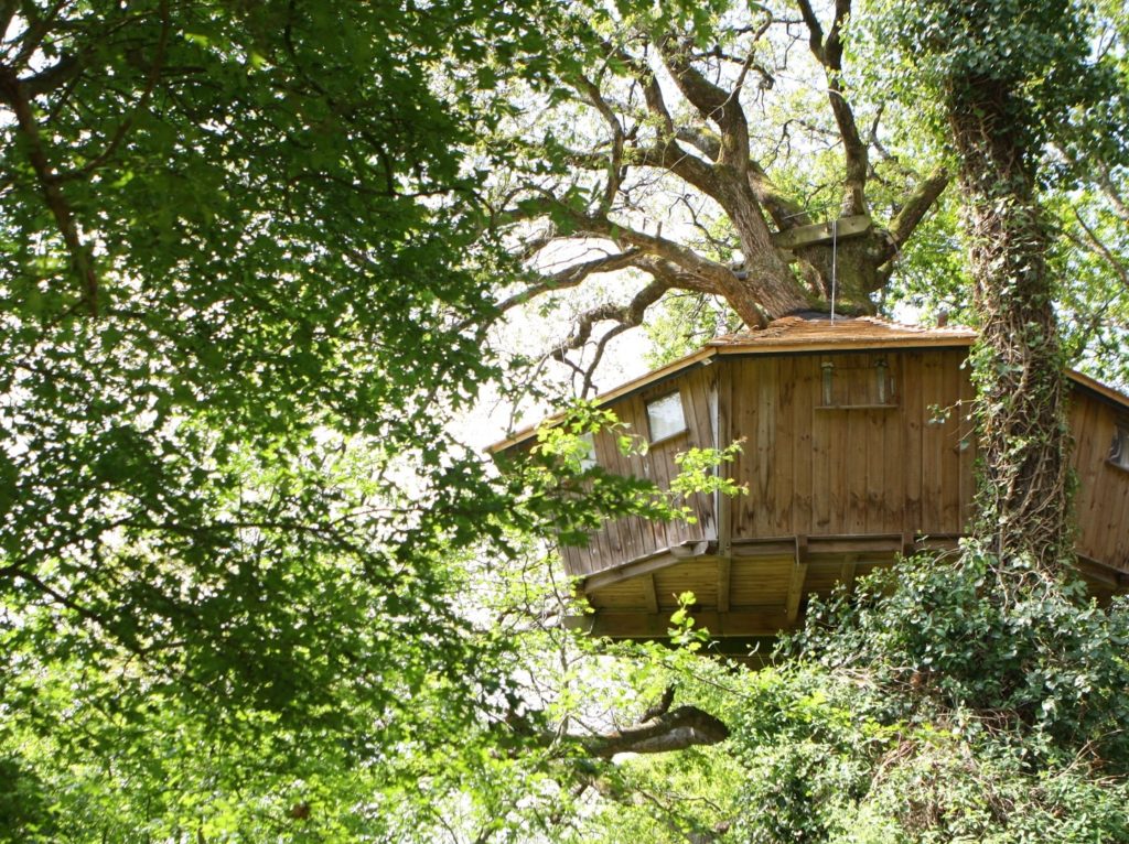 Cabane dans les arbres dihan