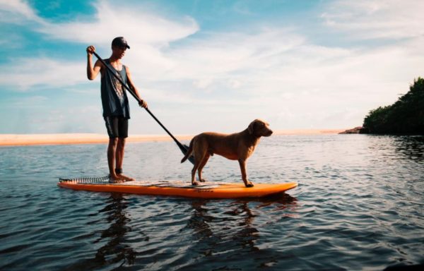 comment-rincer-son-paddle