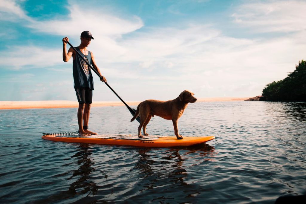 homme sur paddle avec son chien, comment rincer son paddle après utilisation ?