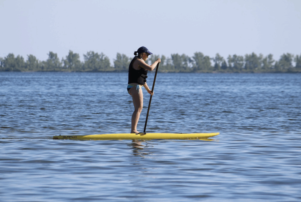 paddle board