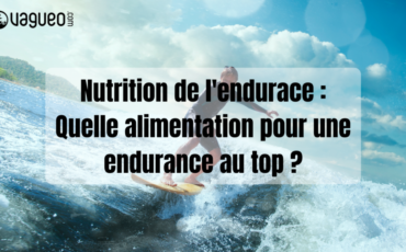 Nutrition de l'endurace