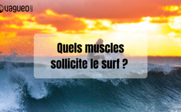 Quels muscles sollicite le surf ?