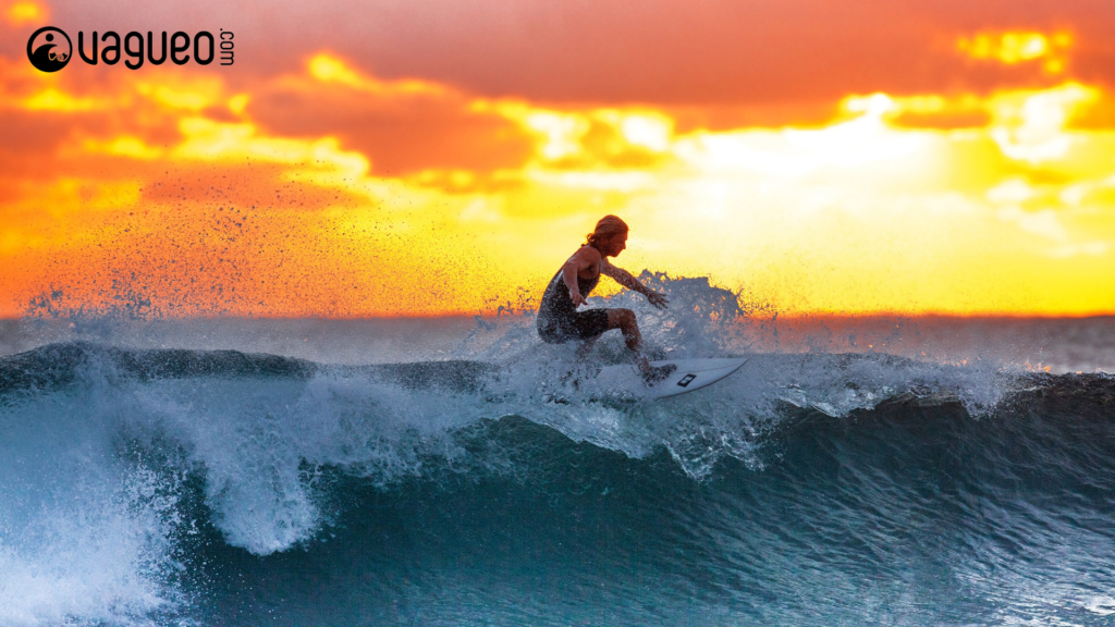 Quels muscles sollicite le surf ?
