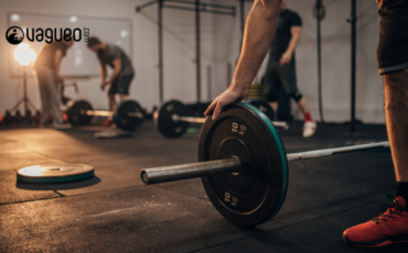 Programme de musculation en salle de sport pour les surfeurs