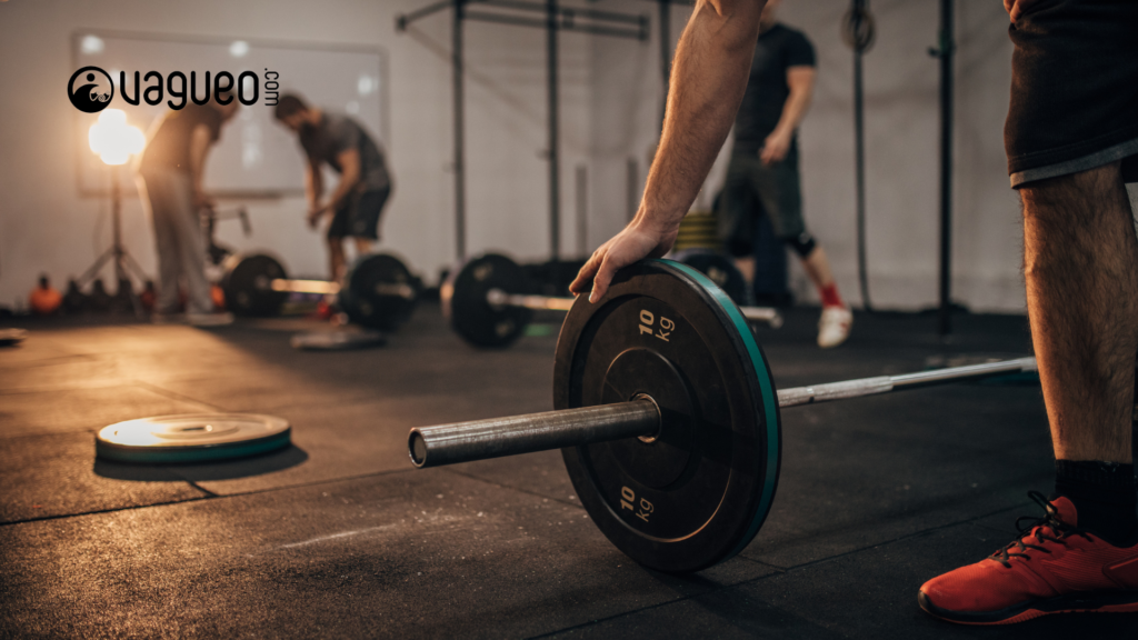 Programme de musculation en salle de sport pour les surfeurs 