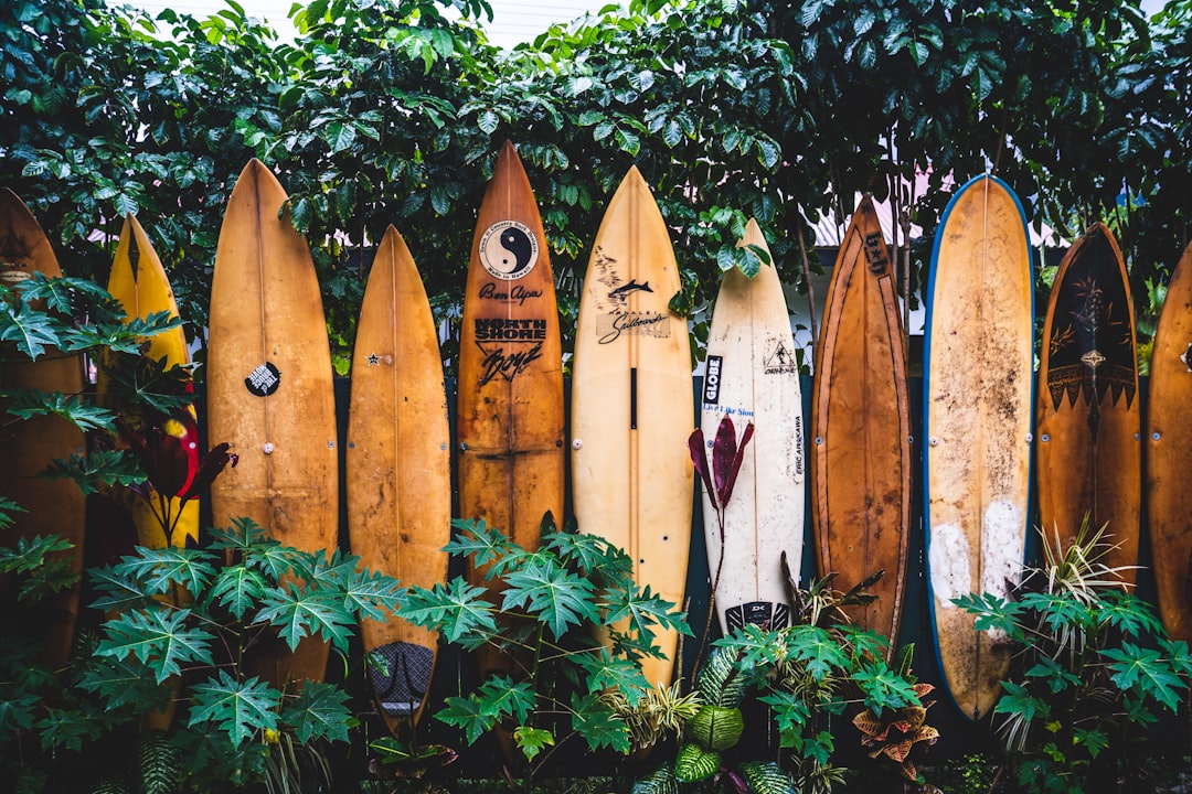 our-journey-03 Surfboard Fence.